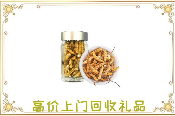 城区周边回收虫草